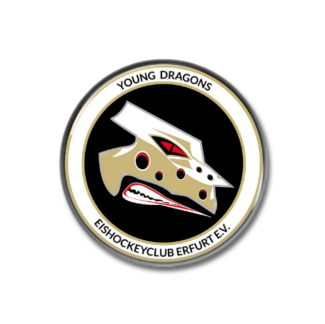 Button / Pin Young Dragons